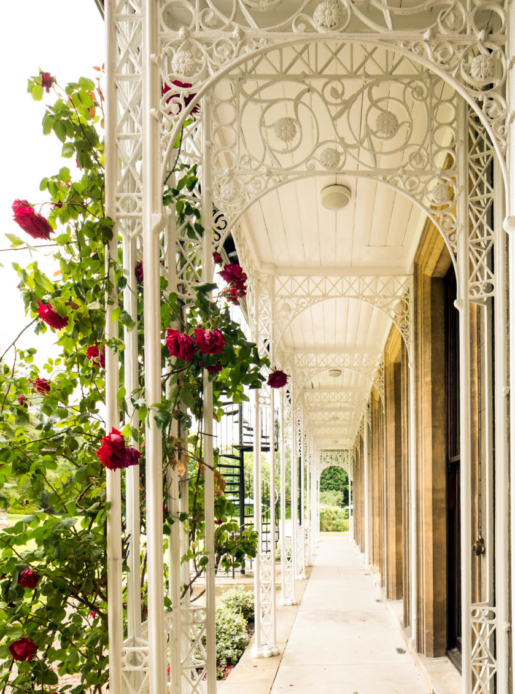 Exterior shot of garden, flower/rose arch walkway