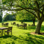 The gardens at Mercure York Fairfield Manor Hotel, benches, seating area under tree